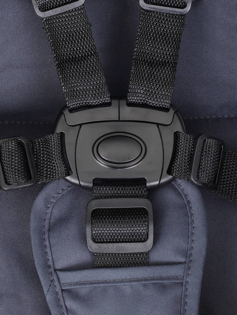 Коляска прогулочная Rant Basic Alpine Eva Grey