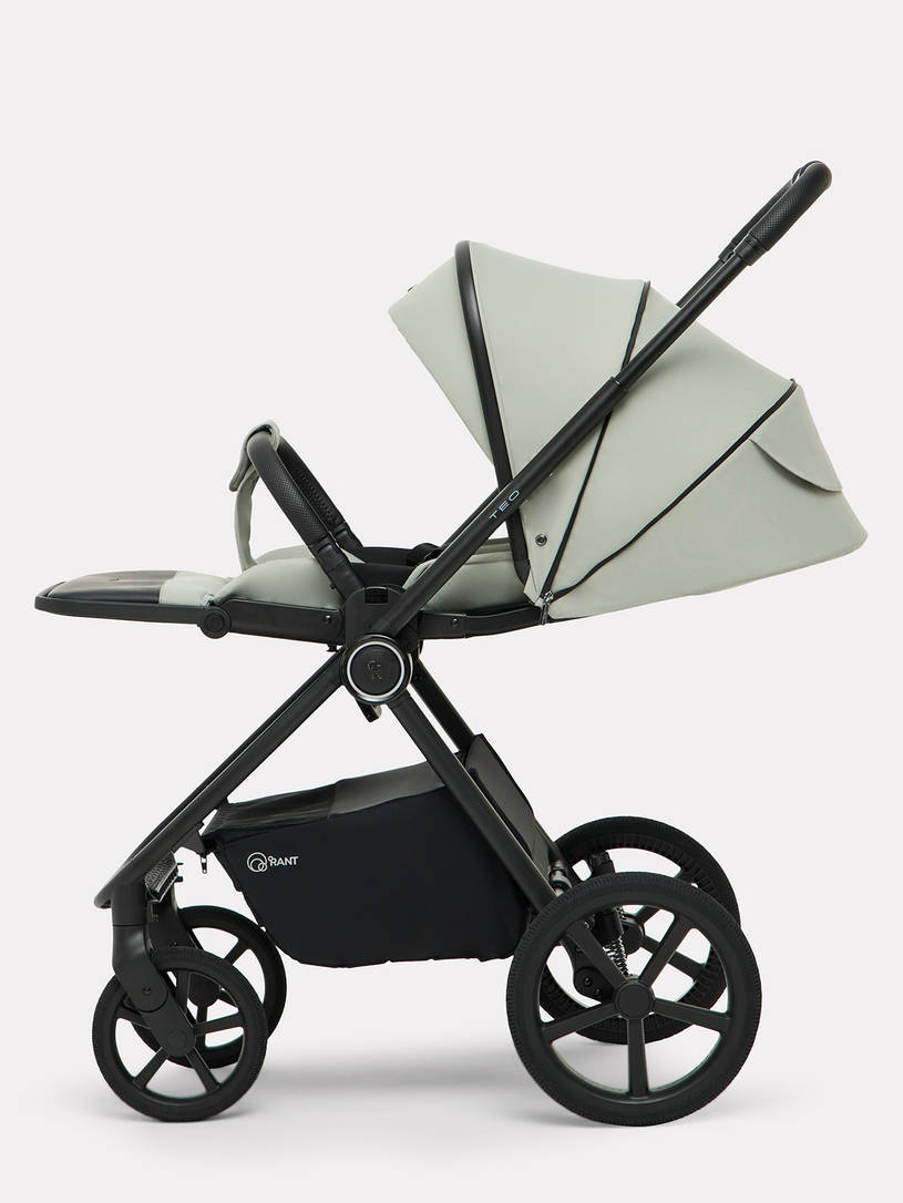 Коляска 2 в 1 Rant Teo Soft Sage