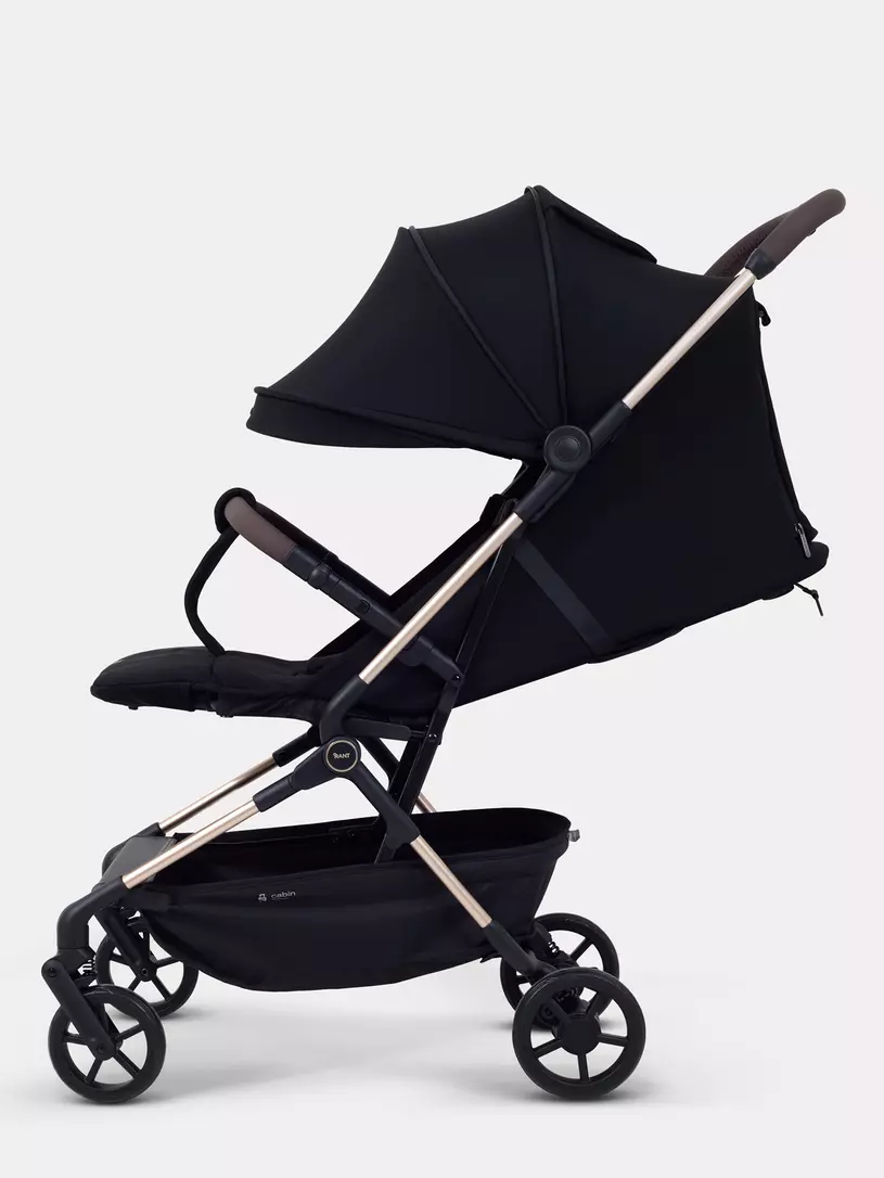 Коляска прогулочная Rant Avion Black