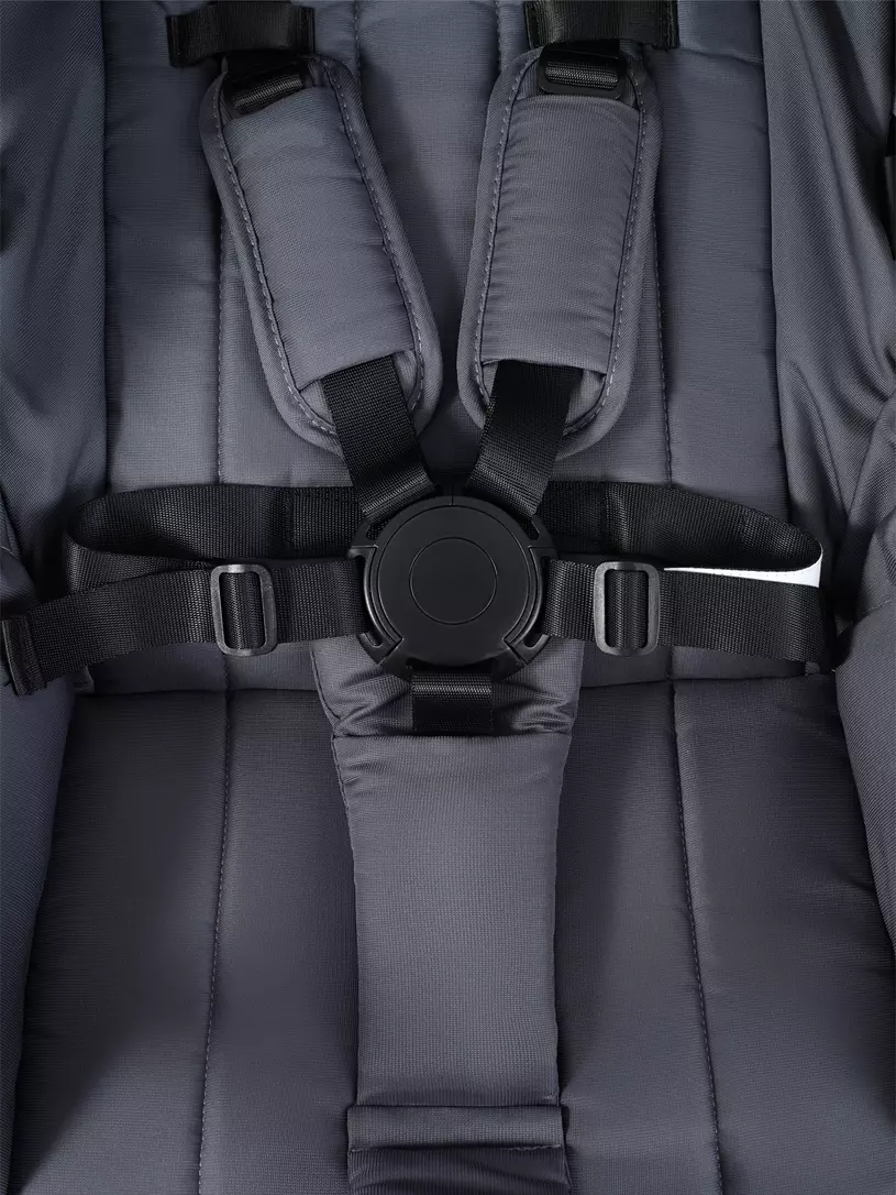 Коляска прогулочная Rant Basic Wave Graphite