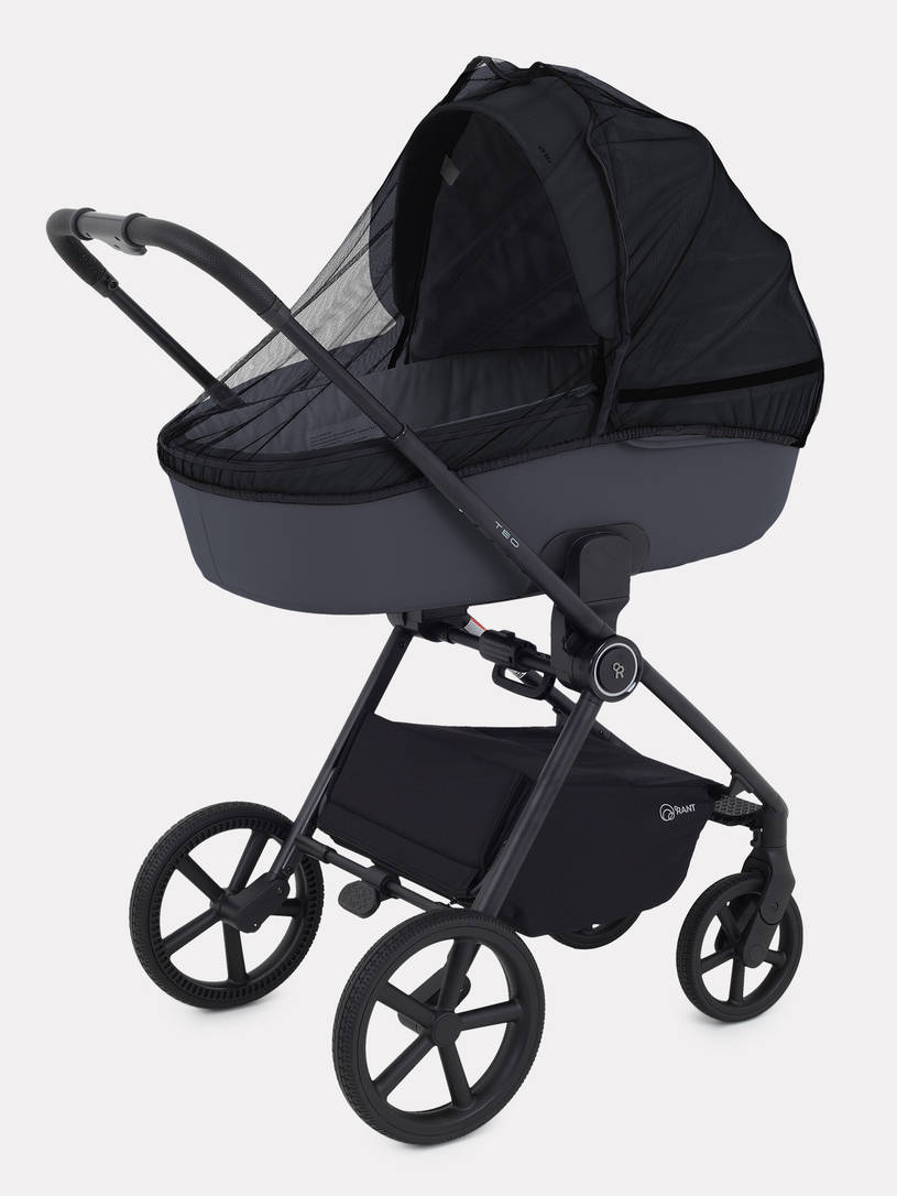 Коляска 2 в 1 Rant Teo Graphite