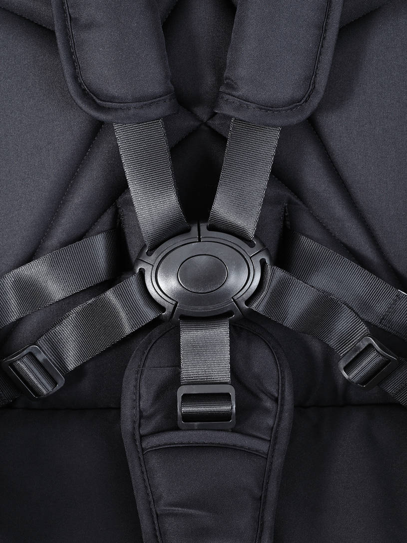 Коляска прогулочная Rant Flex Color Midnight black