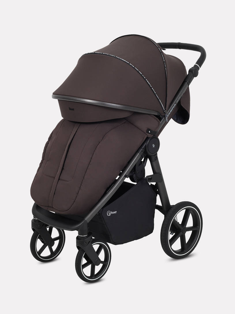 Коляска прогулочная Rant Caspia Soft Shine brown
