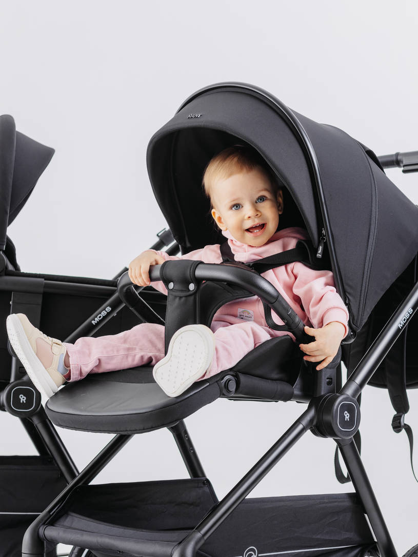 Коляска 2 в 1 Rant Moss Latte beige