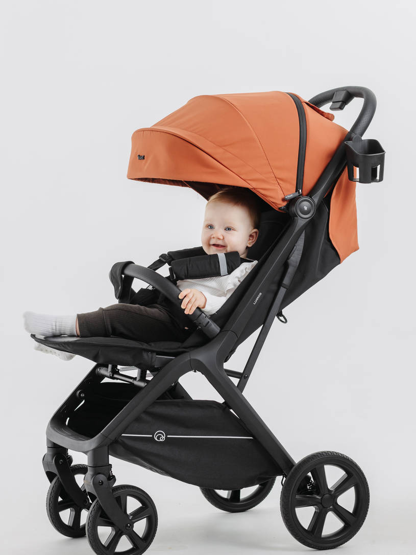 Коляска прогулочная Rant Lumos Maroon brown