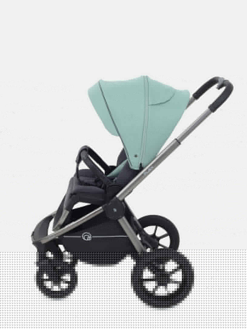 Коляска 2 в 1 RANT FLEX PRO 2023 RA074 GREEN