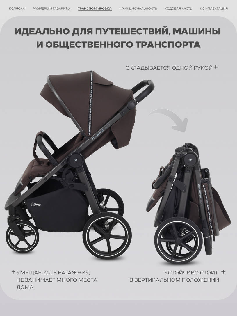 Коляска прогулочная Rant Caspia Soft Shine brown