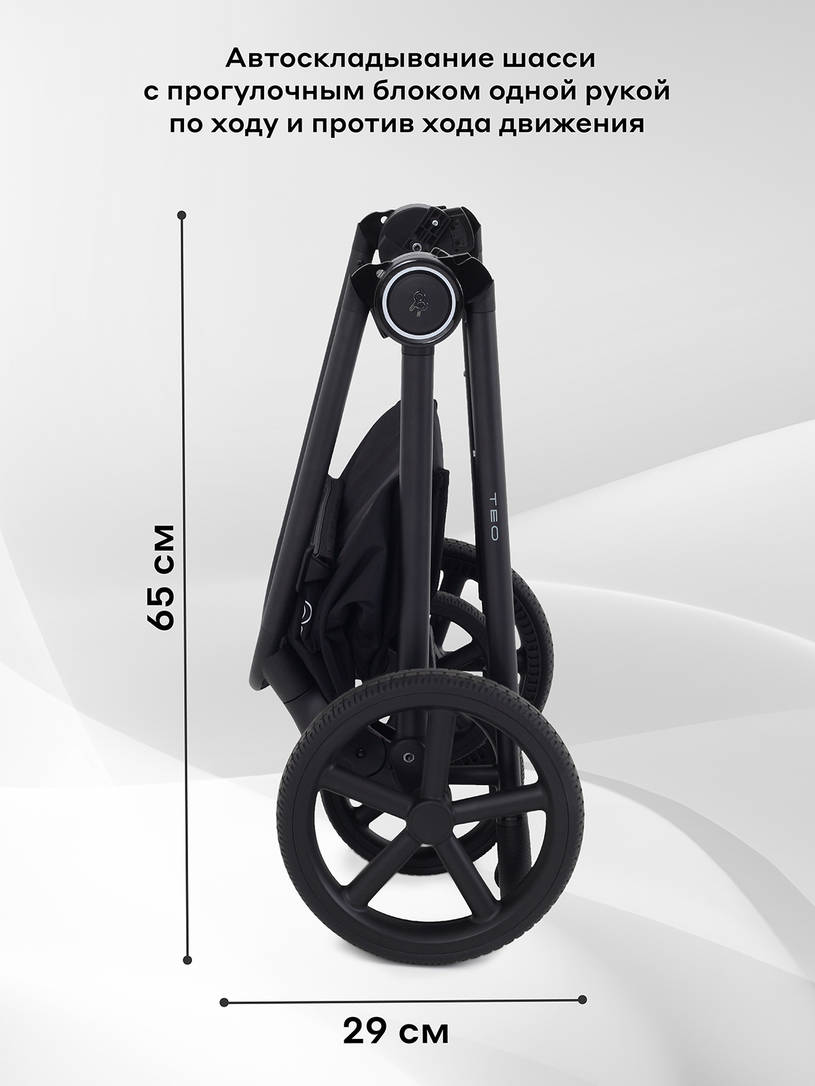 Коляска 2 в 1 Rant Teo Black