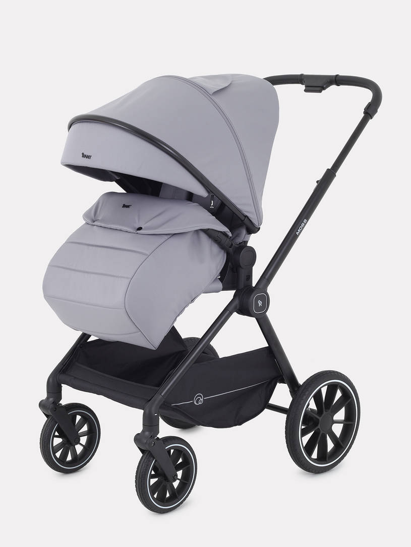 Коляска 2 в 1 Rant Moss Sage green