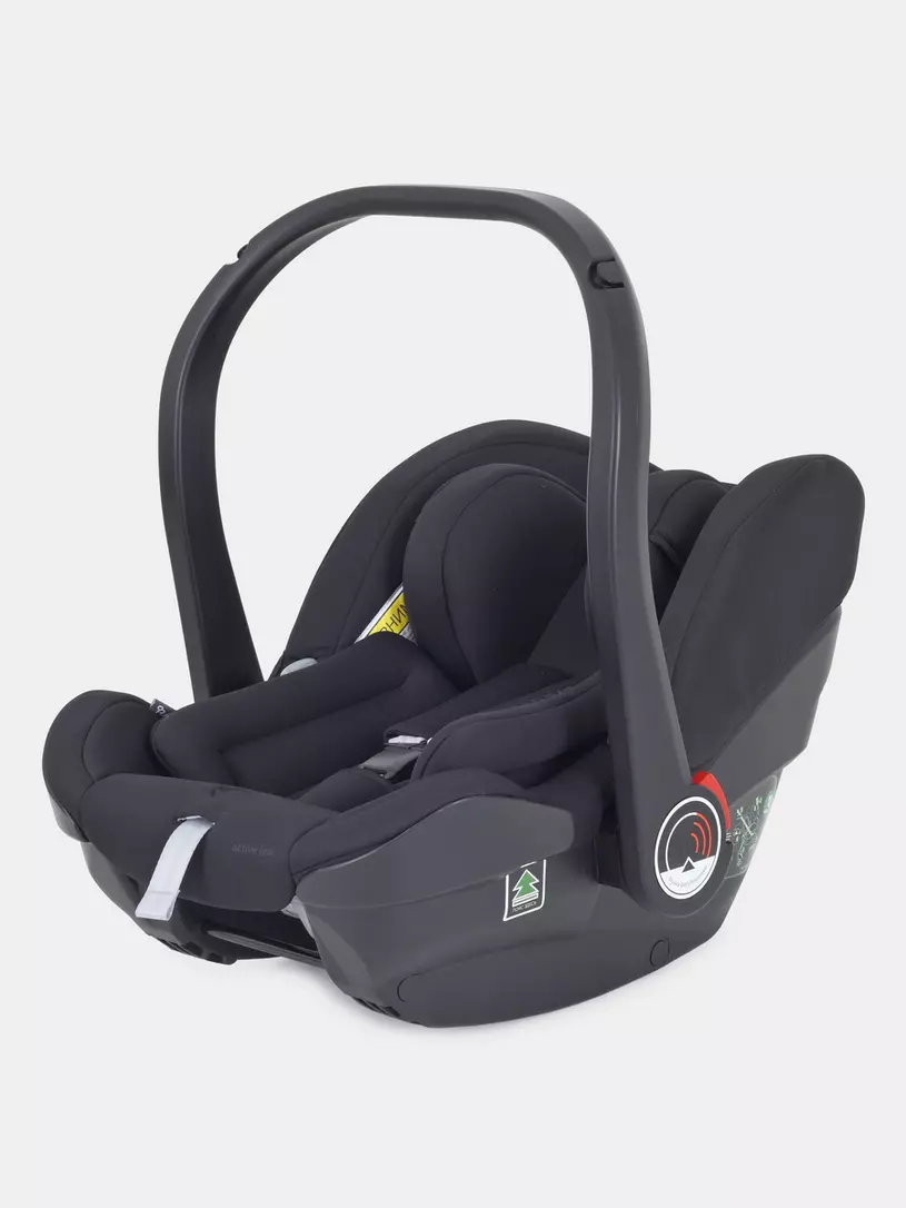 Автокресло Rant Carry Active Line 0+ (0-13 кг) Black