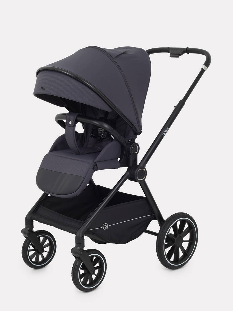 Коляска 2 в 1 Rant Moss 2025 Graphite