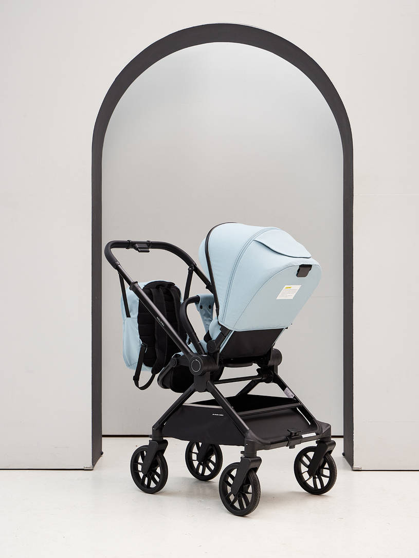 Коляска 2 в 1 Rant Vector Blue