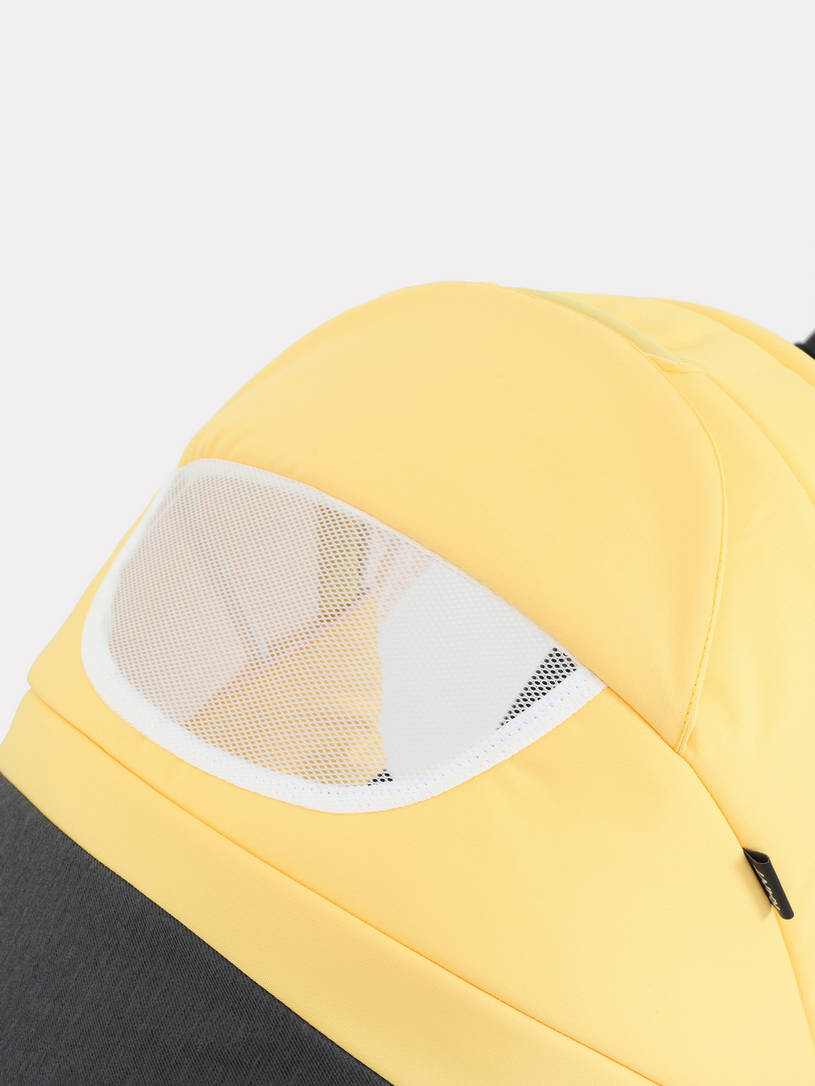 Коляска 3 в 1 Rant Siena 10 серый-желтый