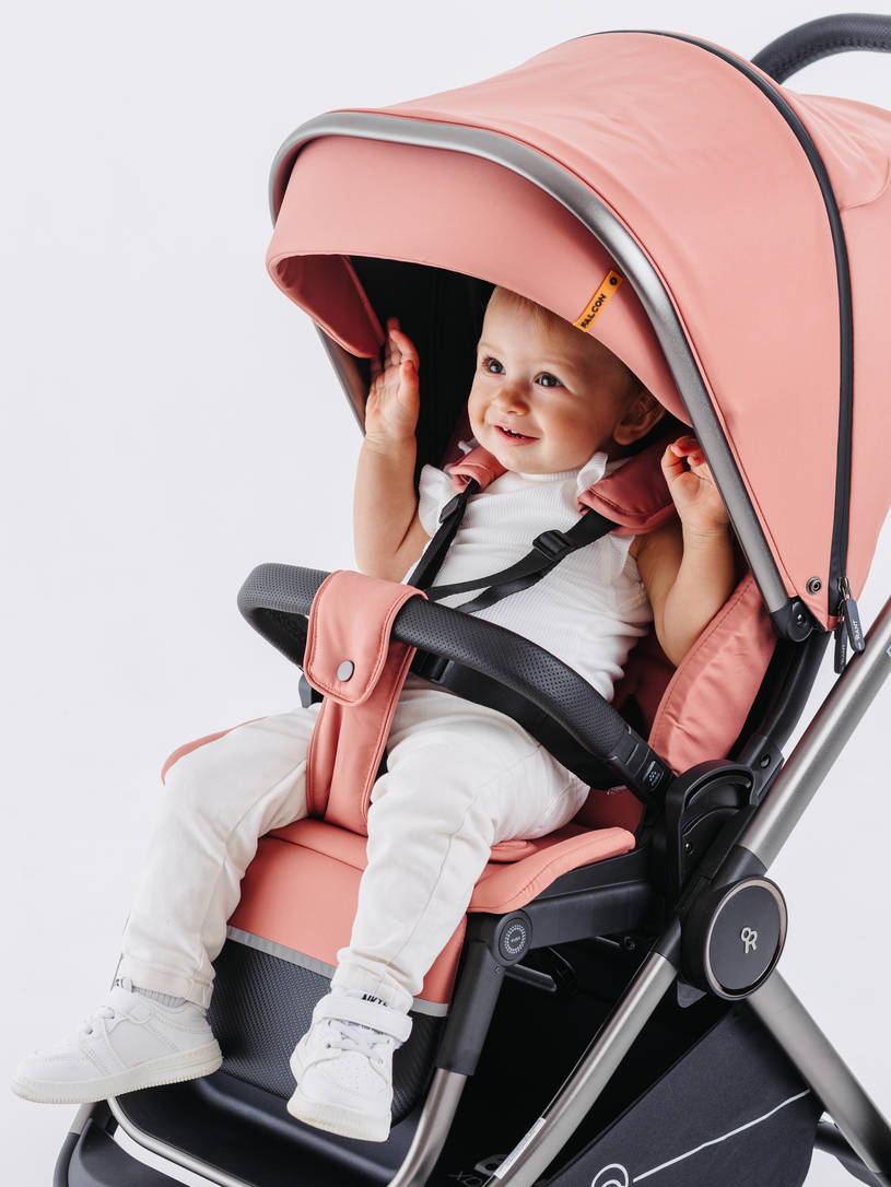 КОЛЯСКА 2 В 1 RANT FALCON PINK