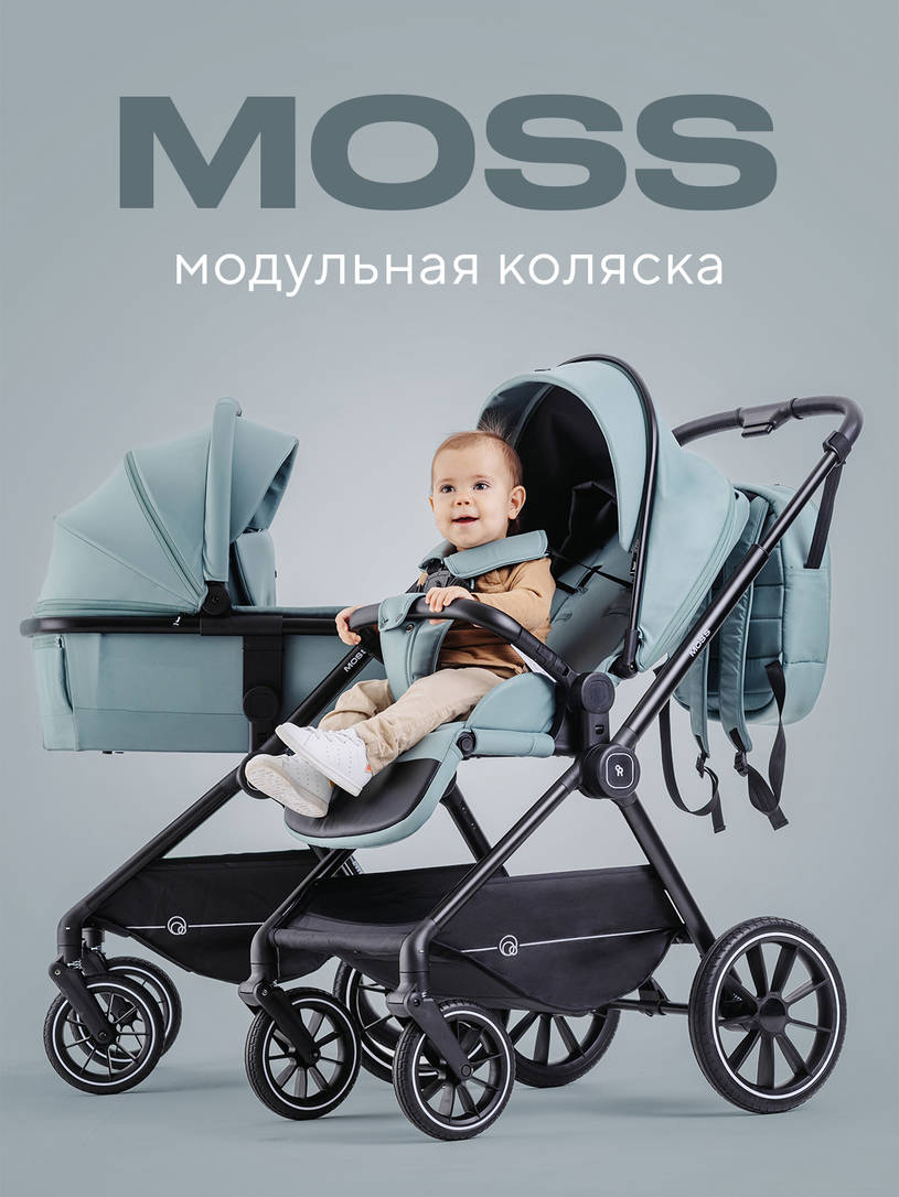 Коляска 2 в 1 Rant Moss Classic grey