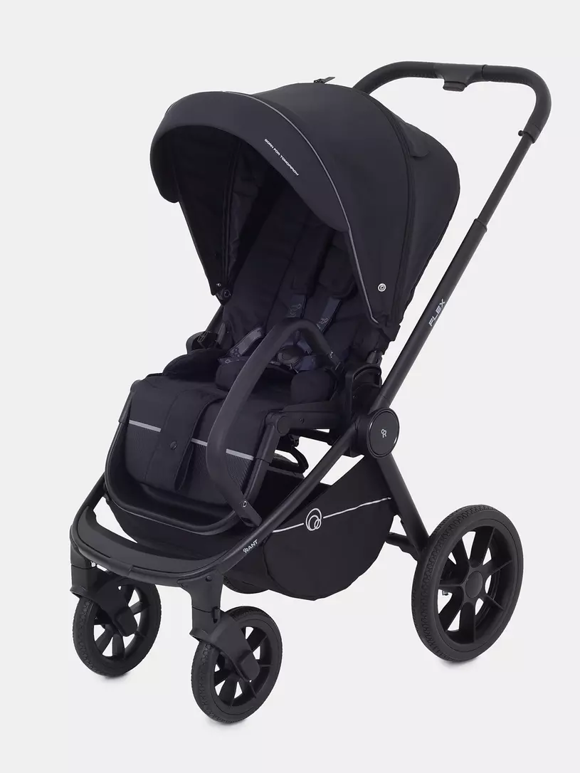 Коляска 2 в 1 Rant Flex 2025 RA076 Black