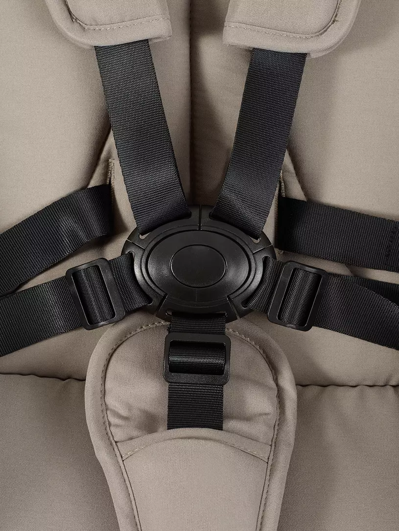 Коляска 2 в 1 Rant Flex Forma Cloud