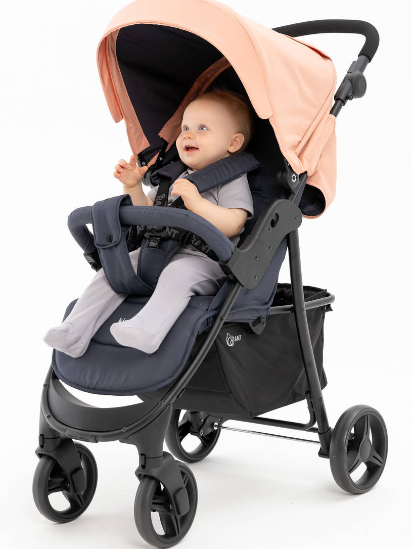 Коляска прогулочная Rant Basic Kira Coral