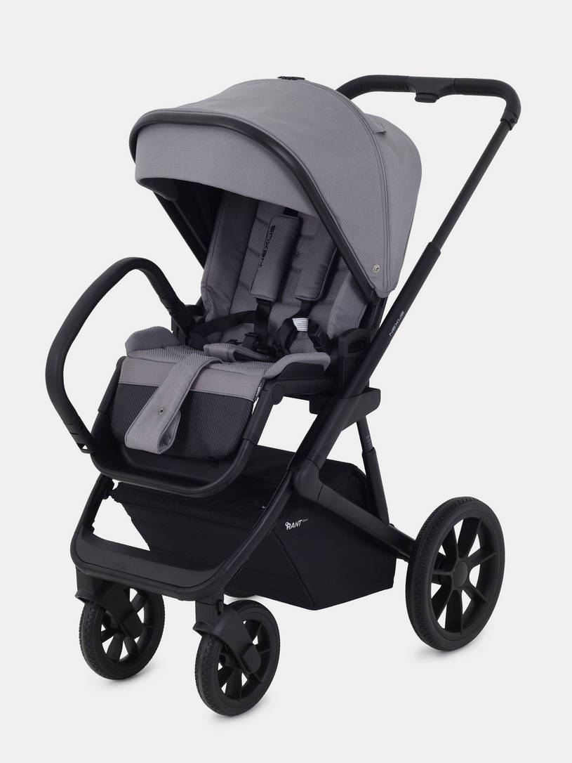 Коляска 2 в 1 Rant Basic Nexus Cloudburst