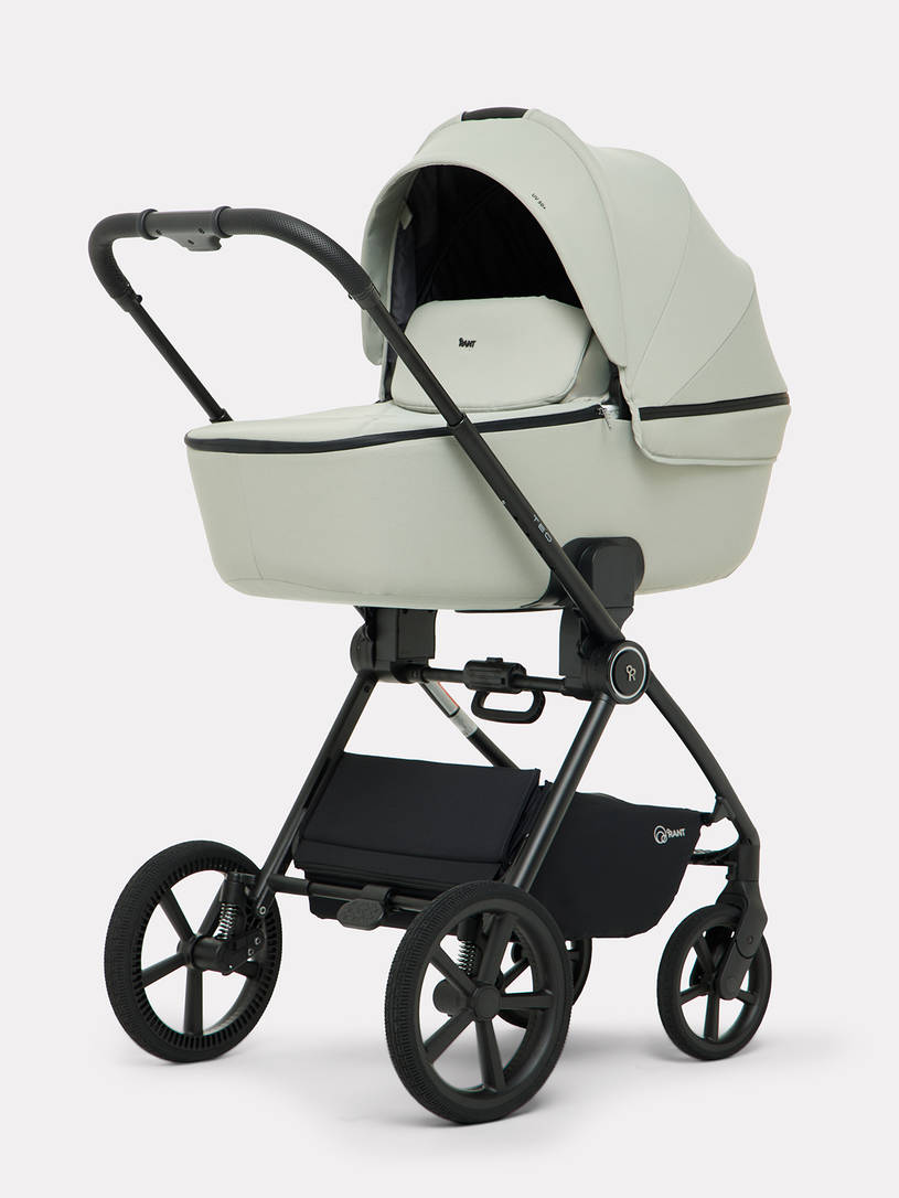 Коляска 2 в 1 Rant Teo Soft Sage