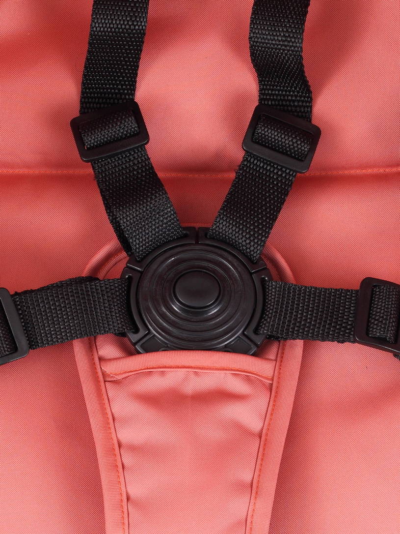 Коляска прогулочная Rant Action Cloud pink