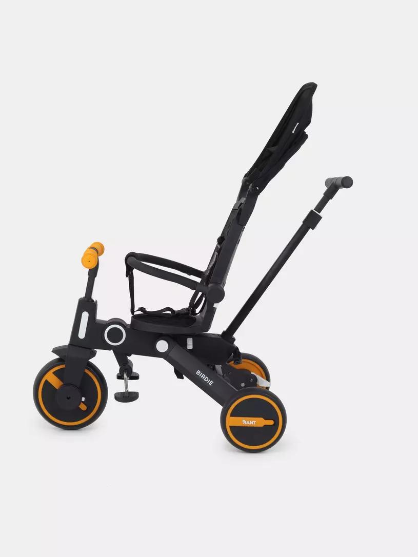 Велосипед 3-х колесный Rant Birdie Graphite
