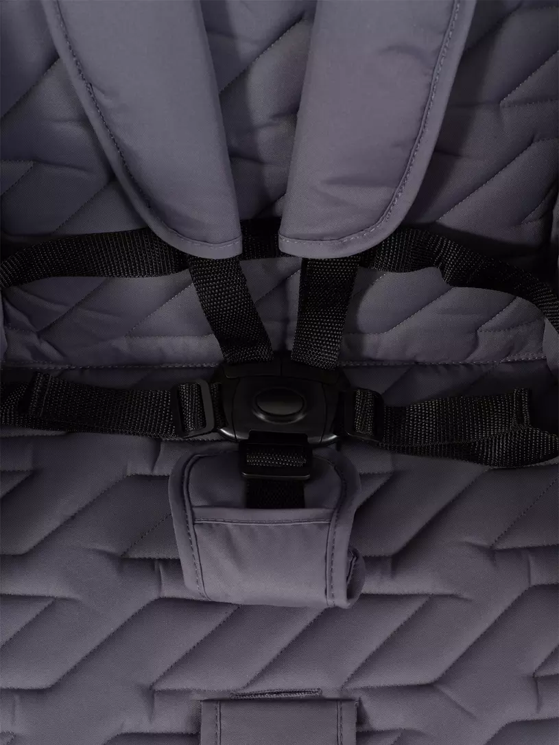 Коляска прогулочная Rant Basic Alpine 2026 Dark grey