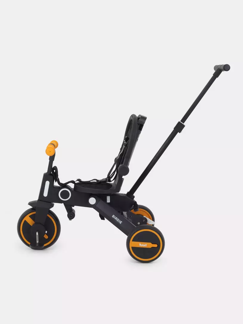 Велосипед 3-х колесный Rant Birdie Graphite