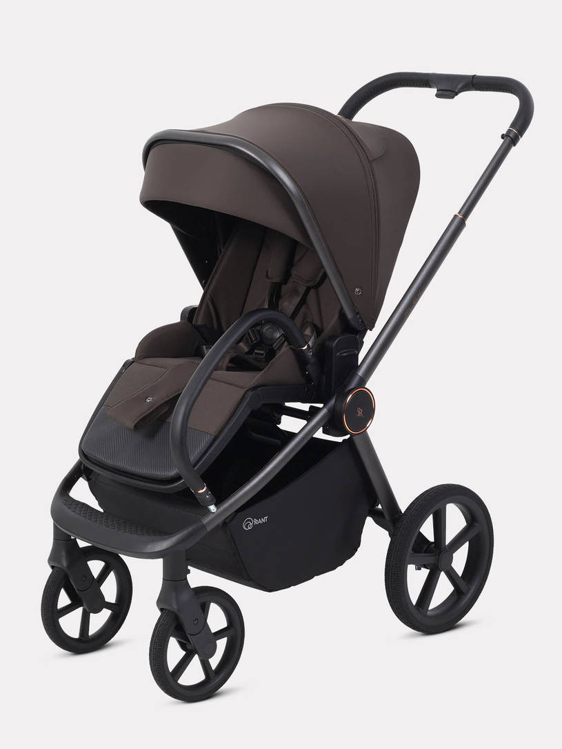 Коляска прогулочная Rant Flex Color Shine brown