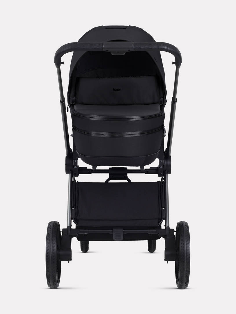 Коляска 2 в 1 Rant Falcon Therm Black