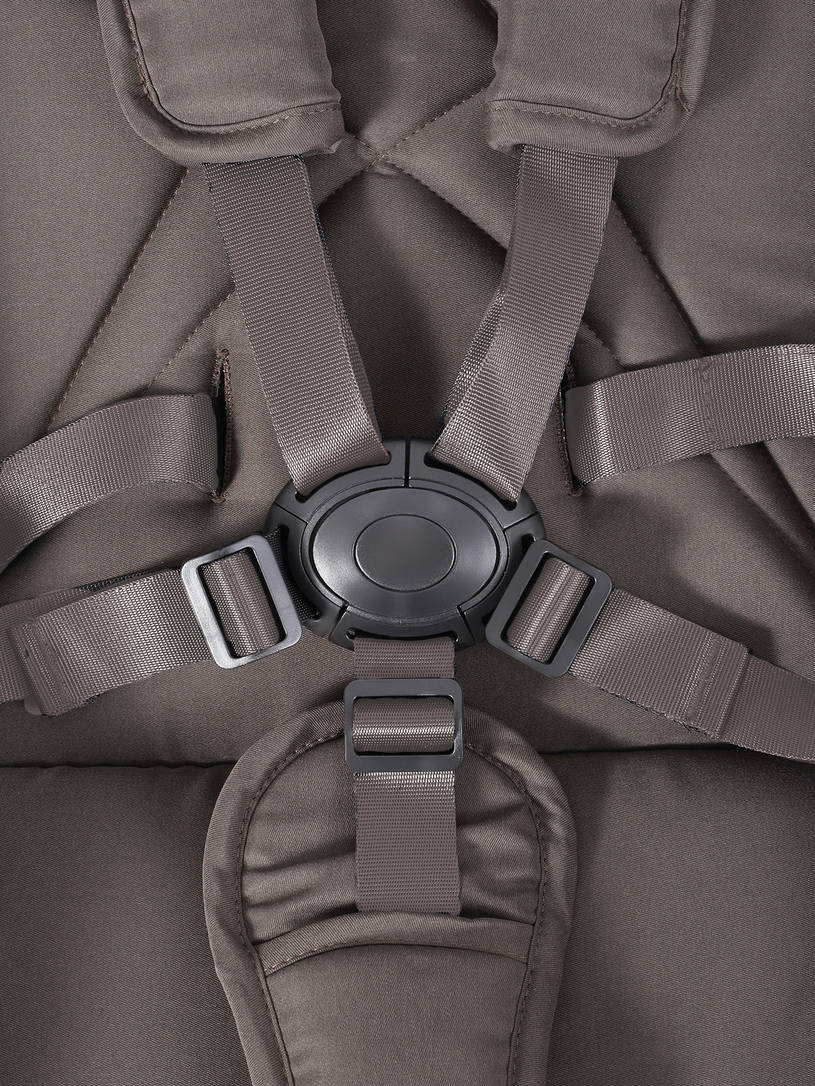 Коляска прогулочная Rant Flex Color Shine brown