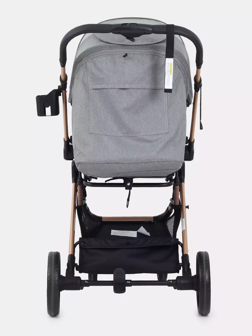 Коляска прогулочная Rant Basic Vortex Titan