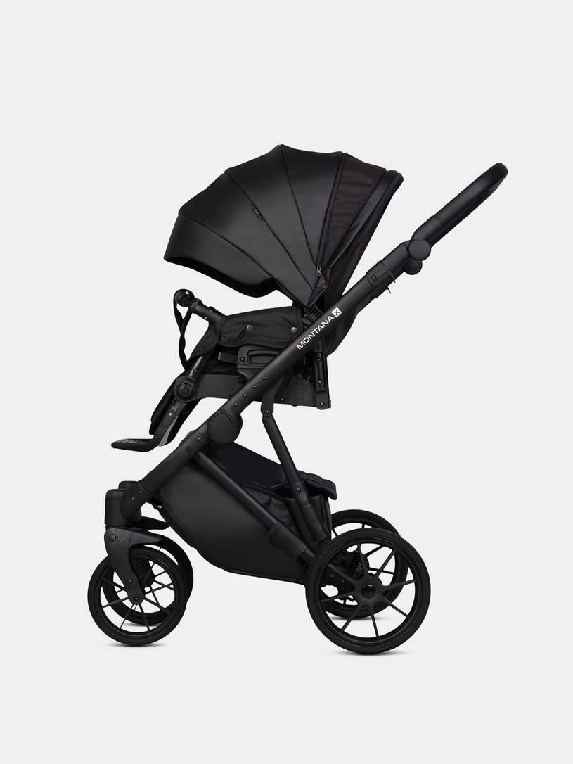 Коляска 3 в 1 Riko Basic Montana X Ecco 12 Black