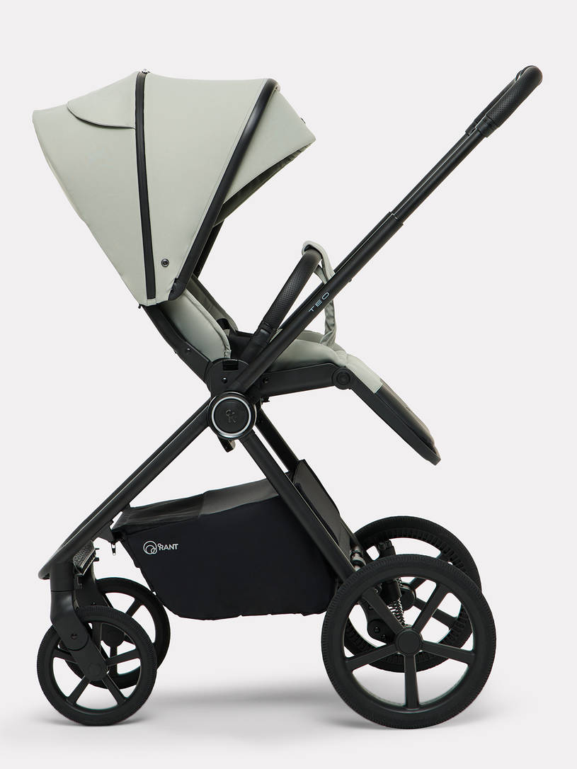 Коляска 2 в 1 Rant Teo Soft Sage