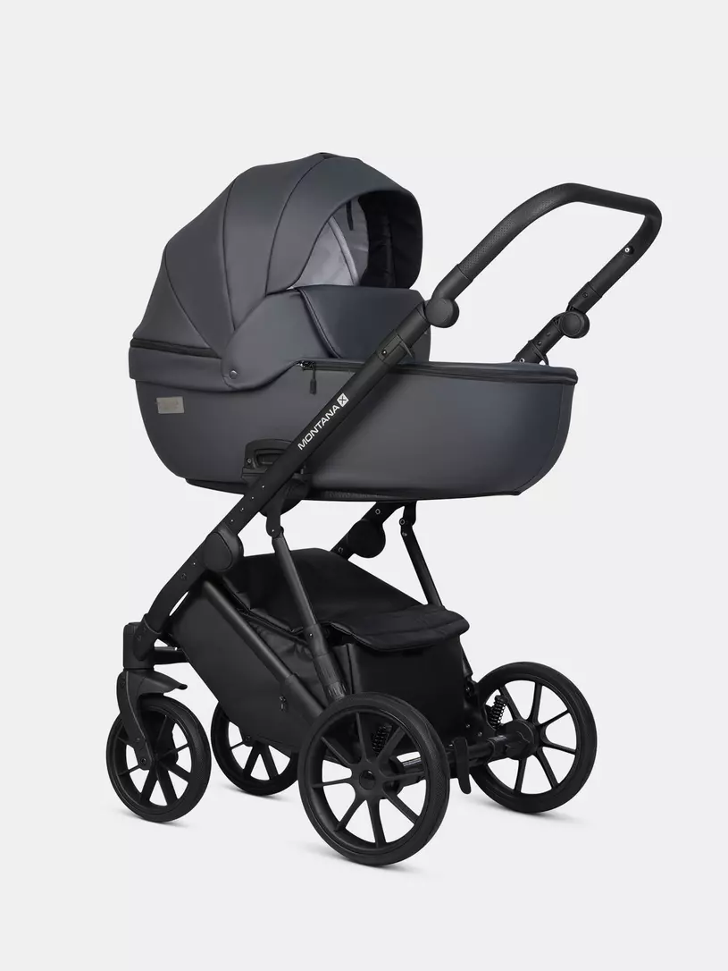 Коляска 2 в 1 Riko Basic Montana X Ecco 24 Graphite