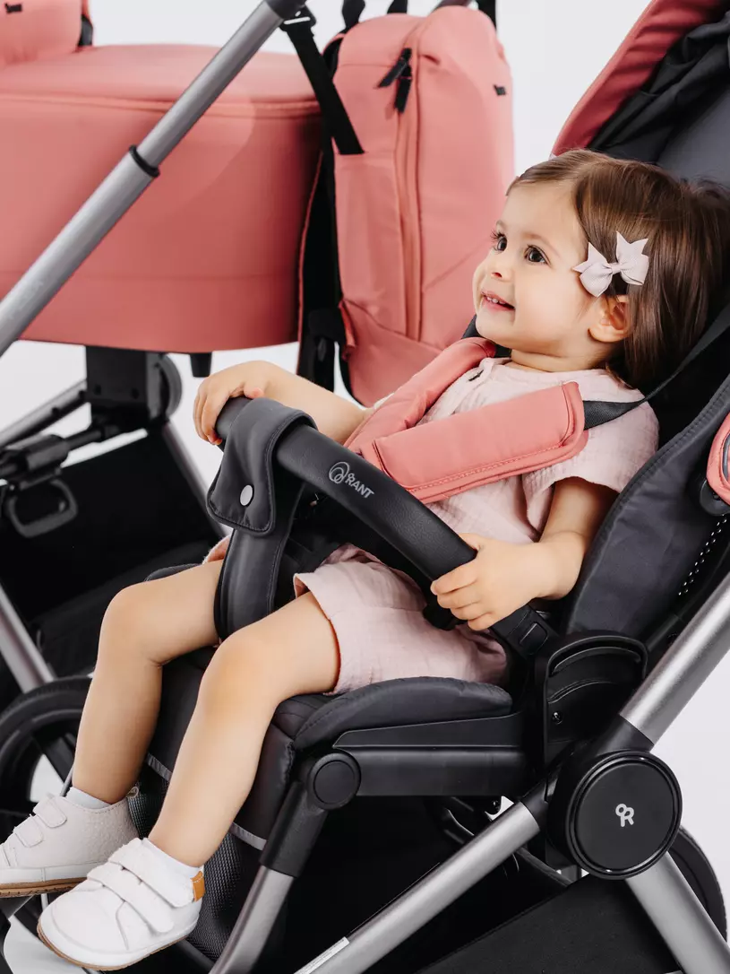 Коляска 2 в 1 RANT FLEX PRO 2023 RA074 PINK