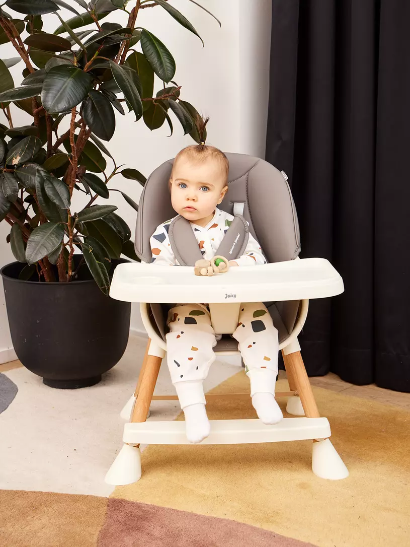 Стульчик для кормления Rant Juicy Wood grey