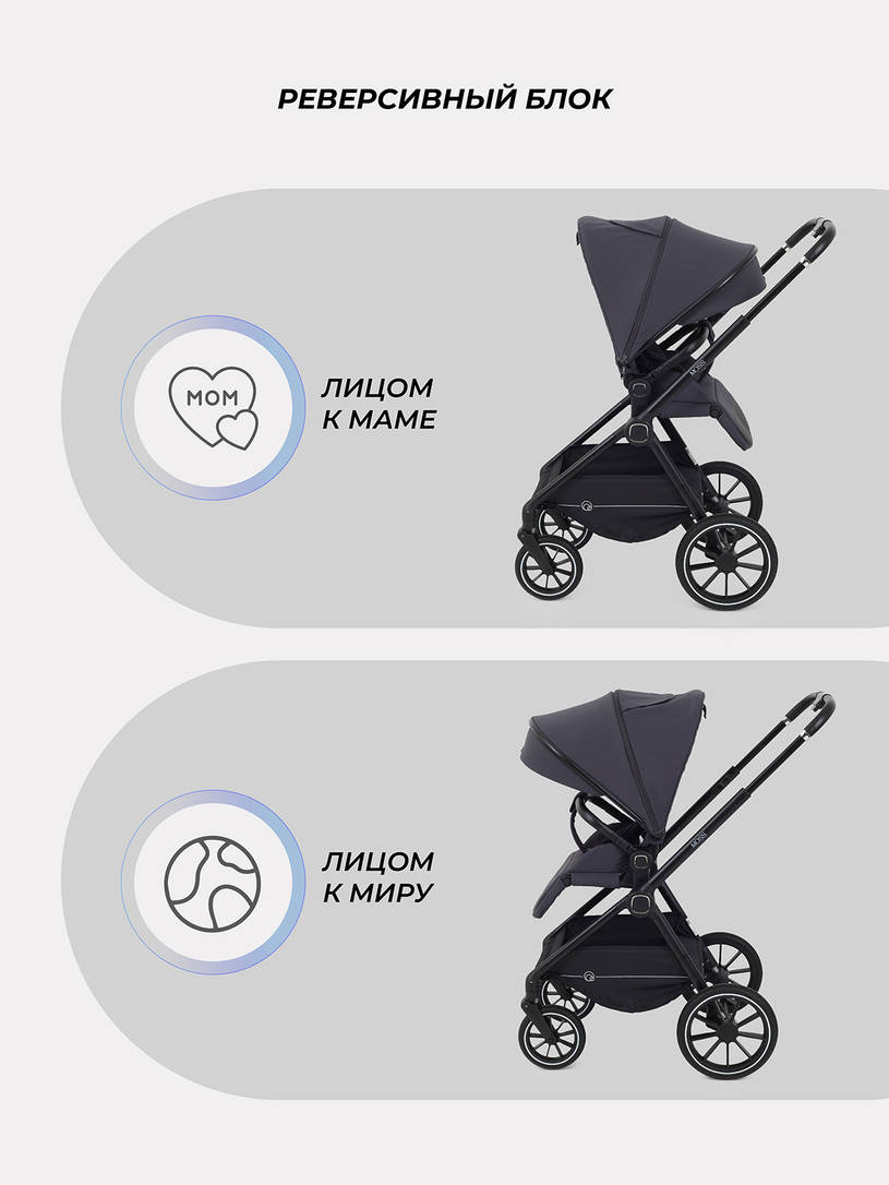 Коляска 2 в 1 Rant Moss 2025 Graphite