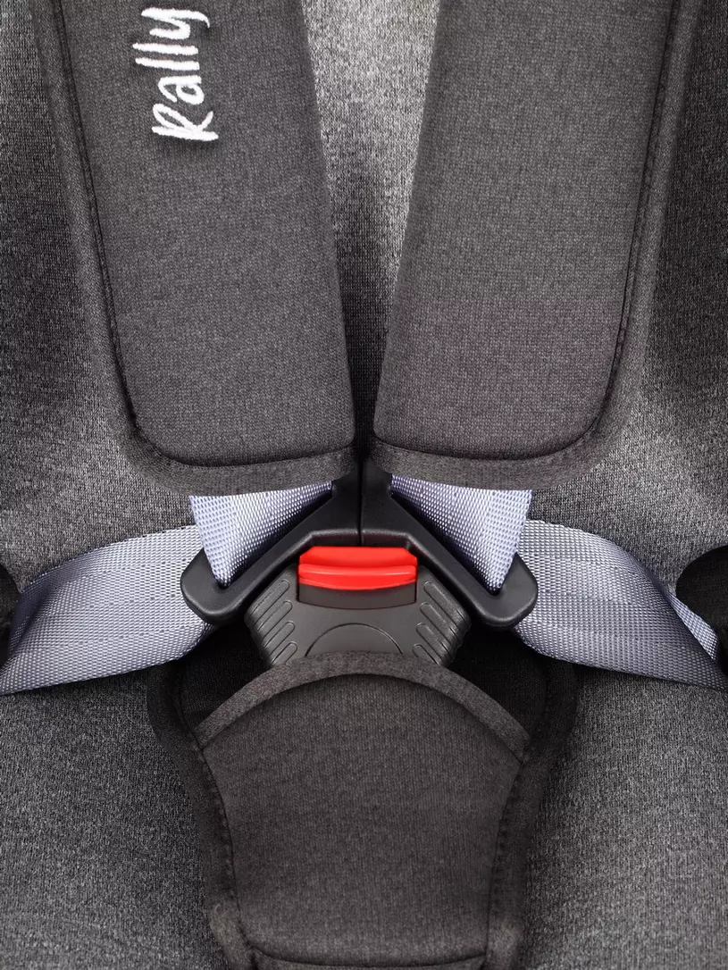 Автокресло Rant Basic Rally 0/1/2 (0-25 кг) Grey