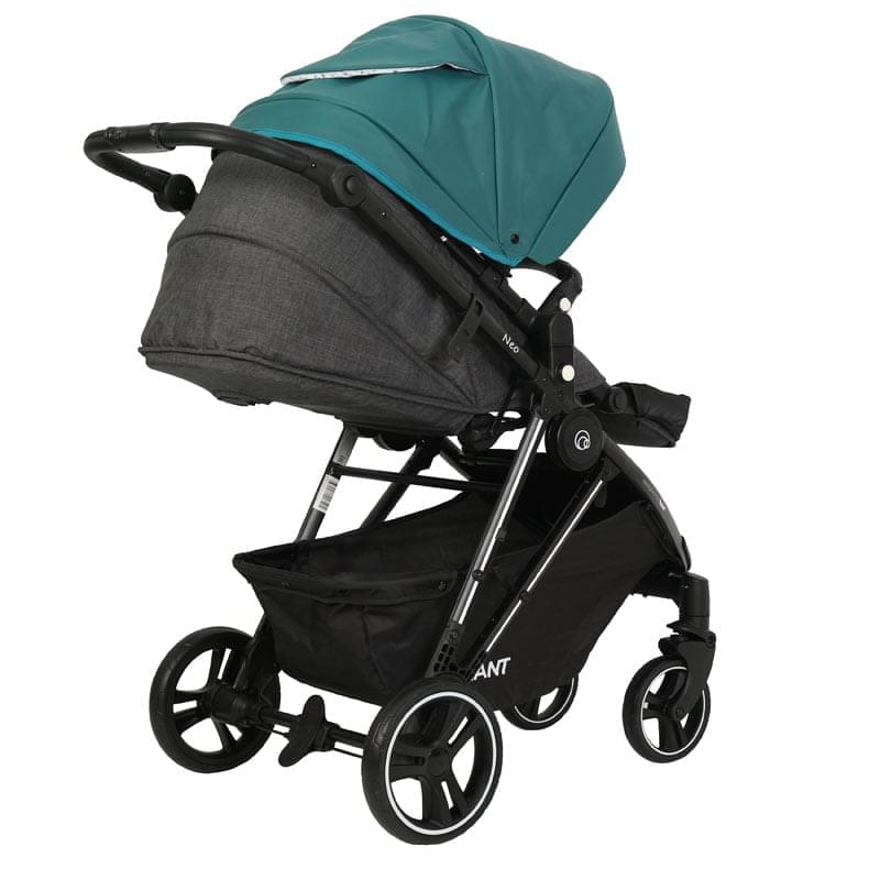 Коляска 2 в 1 Rant Neo черно-бирюзовый