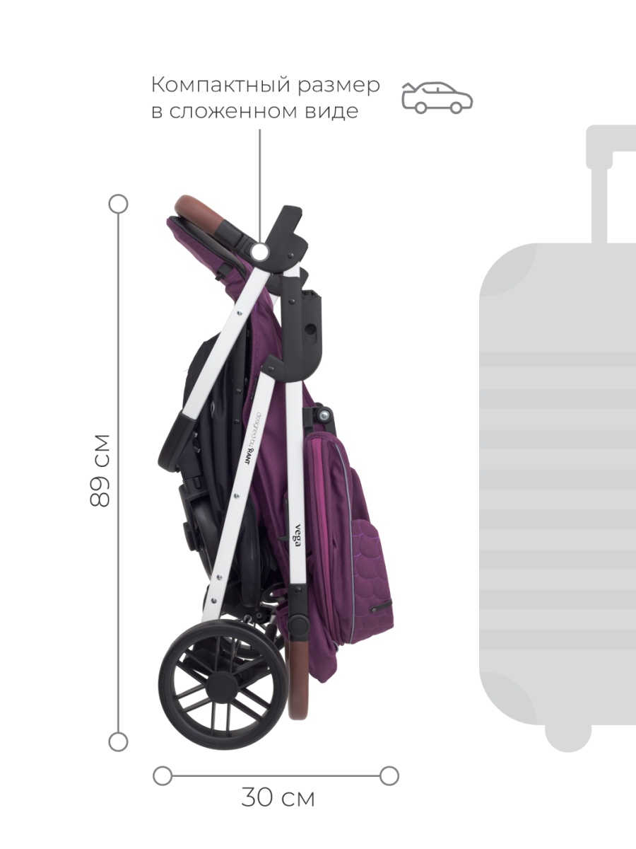 Коляска прогулочная Rant Vega Trends Lines purple (2021). Цвет: Фиолетовый