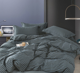 Постельное белье Tango Novella 2-спальный 2 наволочки TS02-X237-50 код1002