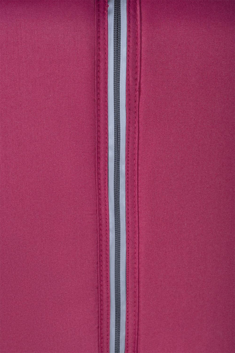 Коляска детская прогулочная Farfello Comfy Go (Cherry/ Вишня (золото) CG-66)