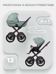 Коляска 2 в 1 Riko Basic Montana X Ecco Prestige 21 Green