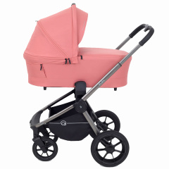 Коляска 2 в 1 RANT FLEX PRO 2023 RA074 PINK