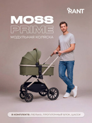 Коляска 2 в 1 Rant Moss Prime Green