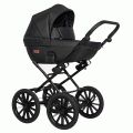 Коляска 2 в 1 Riko Basic Aicon Ecco Prestige 01 черный