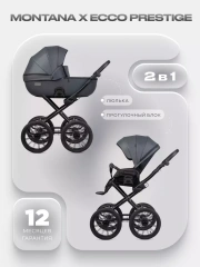Коляска 2 в 1 Riko Basic Montana X Ecco Prestige 24 Graphite