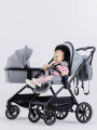 Коляска 2 в 1 Rant Moss Sage green